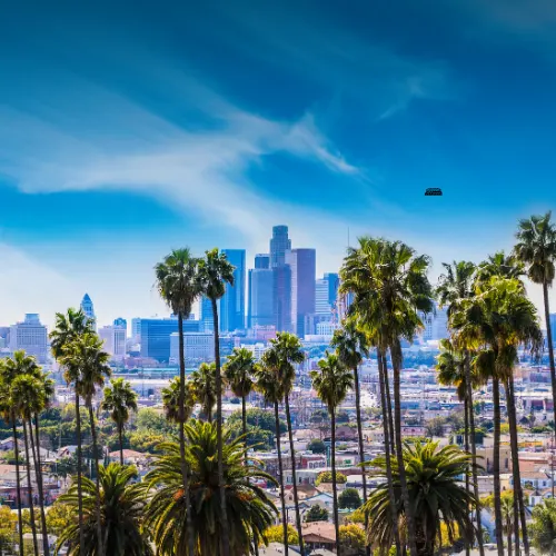 Business Coach in Los Angeles CA